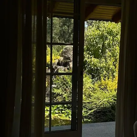 Casa Nido *